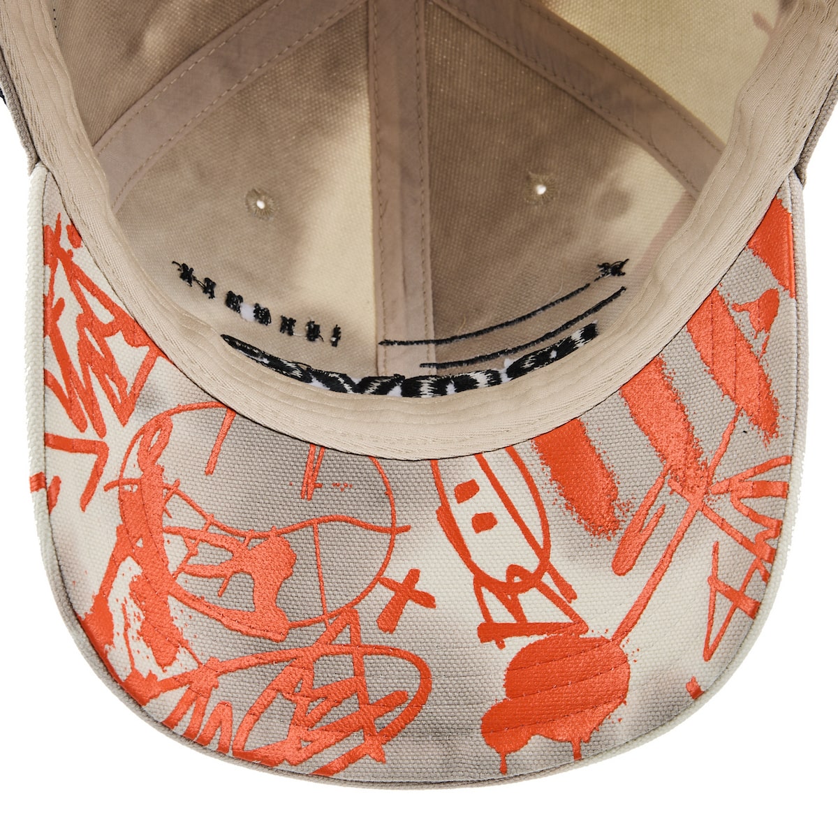 Standard Issue Graffiti Dad Hat - Brain Rot Worldwide - The Boys