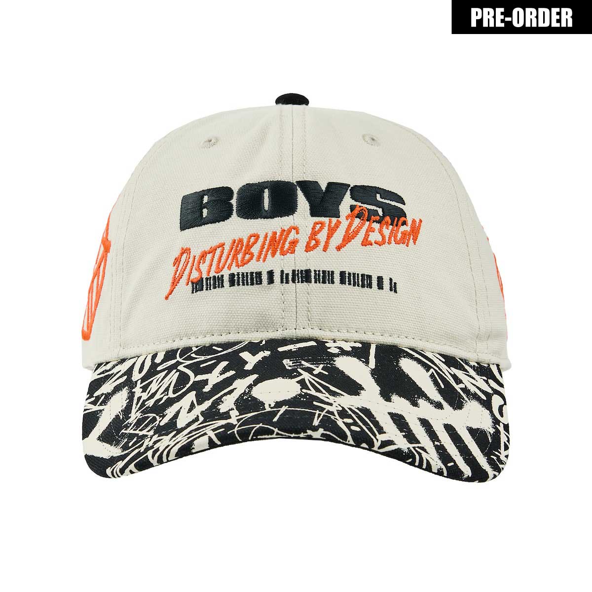 Standard Issue Dad Hat - Brain Rot Worldwide - The Boys