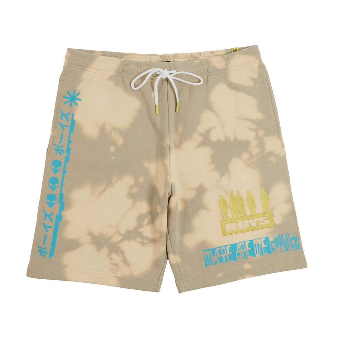 Invasion Where Are We Bleach Wash Shorts